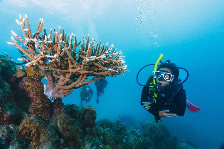 ¿Preparados para ver los fondos marinos del Mar Rojo?
