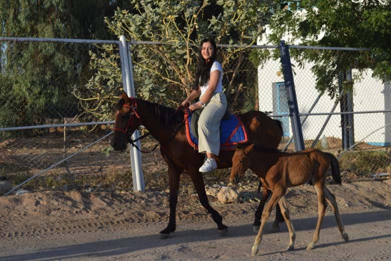 Prêt pour la balade à cheval à Sharm el-Sheikh