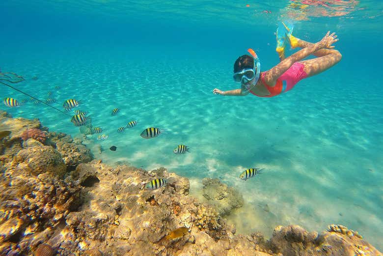 Snorkeling dans des eaux cristallines