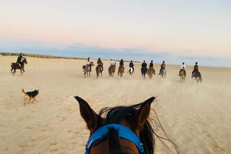 Paisajes de Sharm el-Sheij