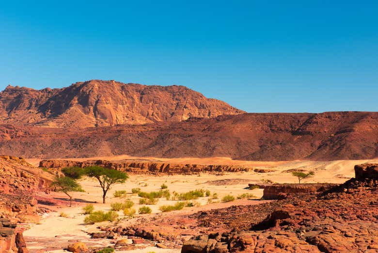 Paesaggi del Deserto del Sinai