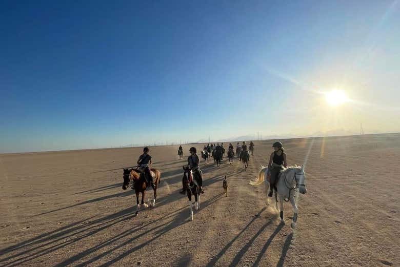 De ruta a caballo en Sharm el-Sheij 