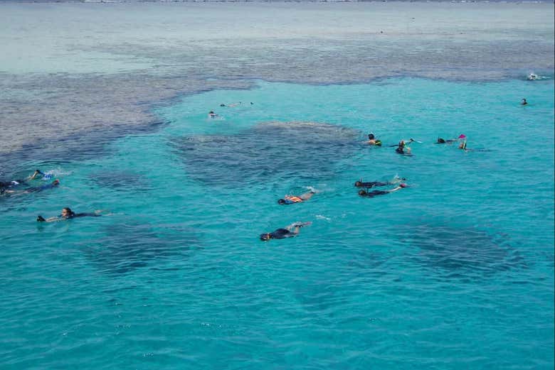 Vue aérienne de l'île de Tiran