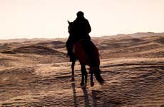 Passeggiata a cavallo a Sharm el-Sheikh
