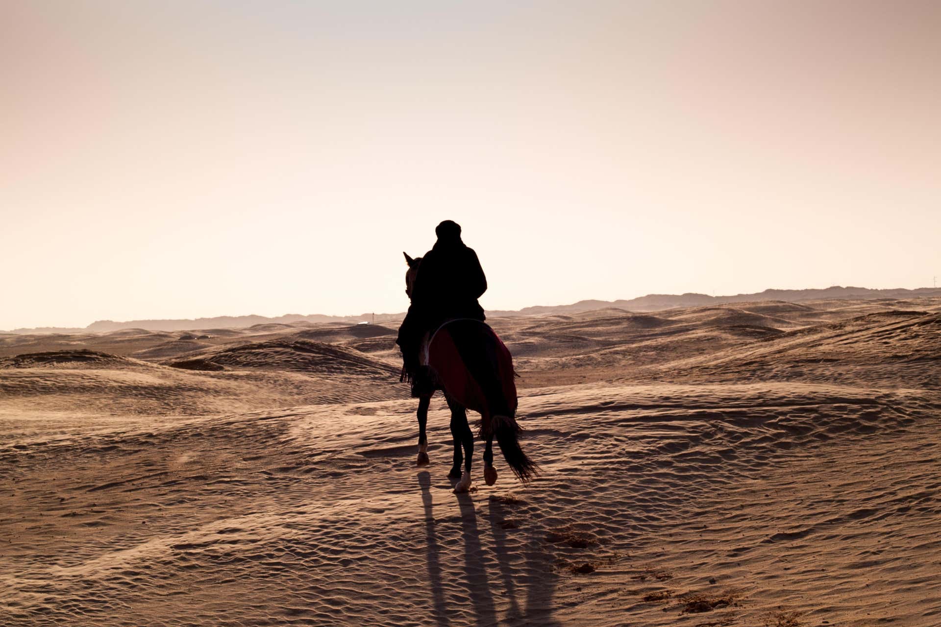 Paseo a caballo por Sharm el-Sheij