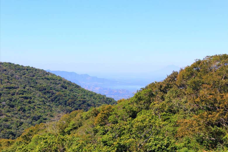 Marvel at the views with this day trip
