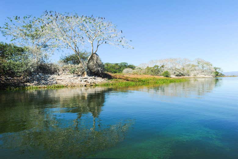 Suchitlán Lake
