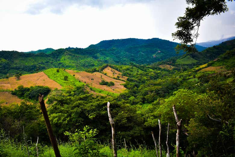 Montagne di Tamanique