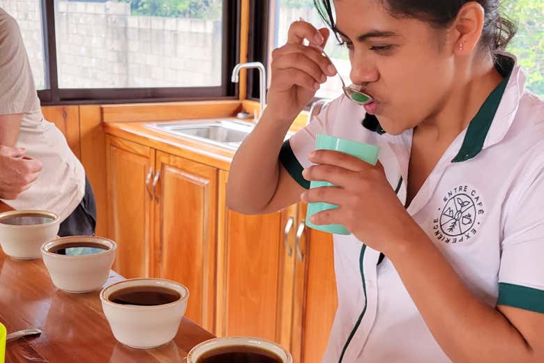 Profitez d'une dégustation