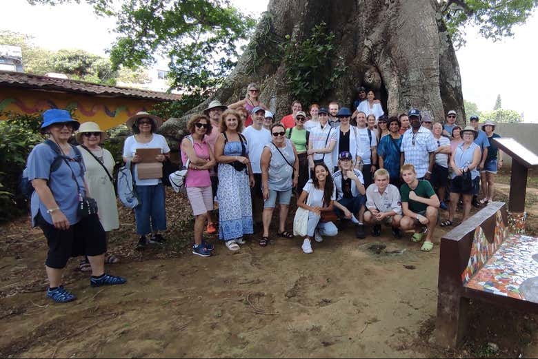 Groupe de voyageurs devant l'arbre Ceiba
