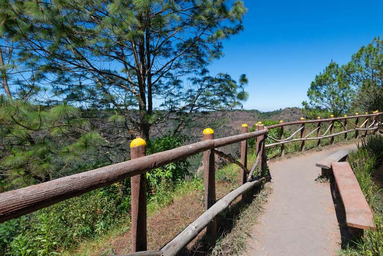 Senderos para llegar al volcán San Salvador