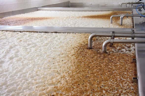 Visita a la cervecería Cadejo