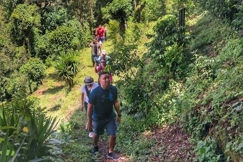 Hike along the El Peñón trail
