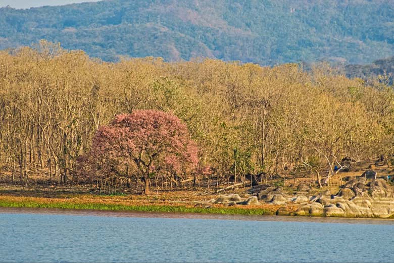El paisaje del lago Suchitlán