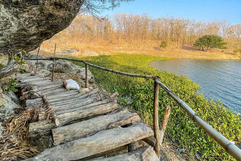 Los senderos en la isla