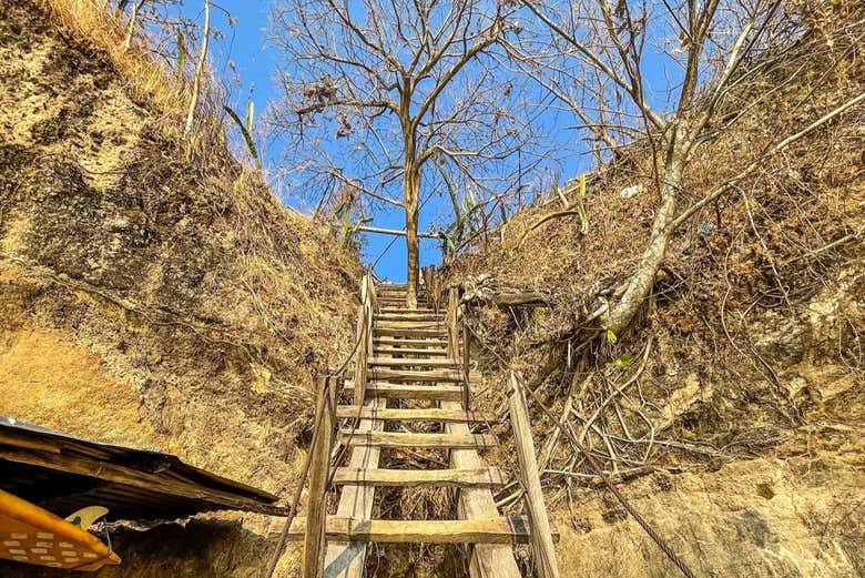 Unas escaleras por uno de los senderos naturales