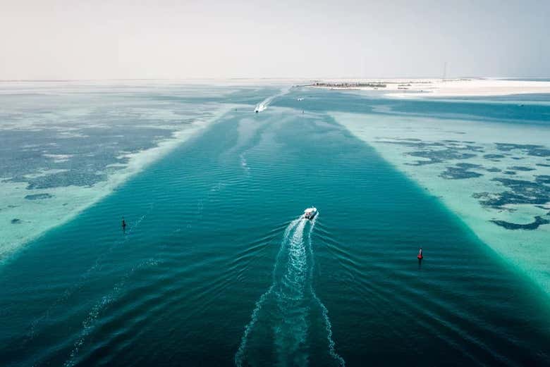Escursione all'isola di Abu Dhabi