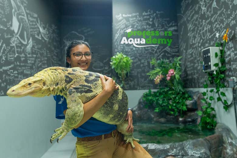 También podréis aprender sobre reptiles