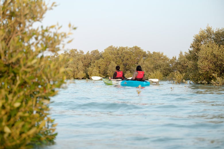 Tour en kayak por los manglares de Abu Dhabi