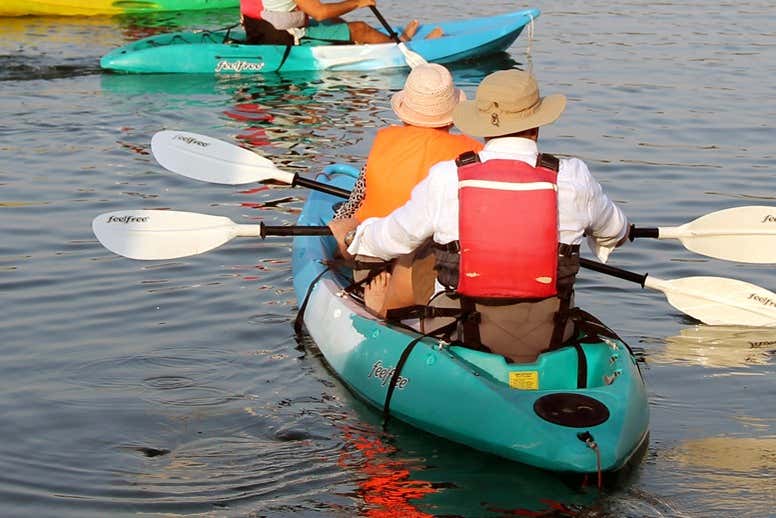 Esplorando le mangrovie di Abu Dhabi