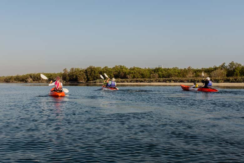 Parco Nazionale delle Mangrovie