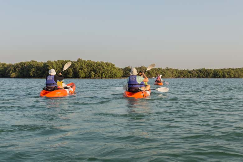 Percorrendo il Parco Nazionale delle Mangrovie