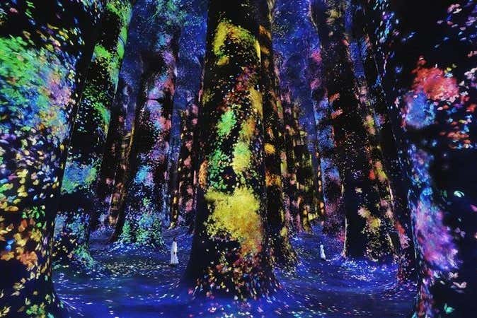 Interactuando con la obra del teamLab Phenomena Abu Dhabi