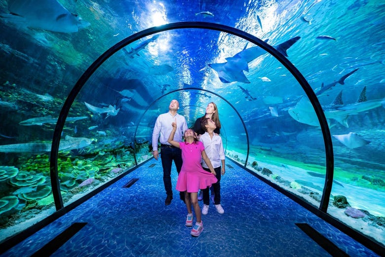 Visiting Abu Dhabi National Aquarium