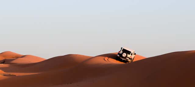 Safari por el desierto
