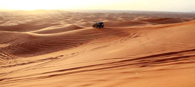 Desert Safari with Dinner and Show