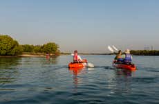 Balade en kayak dans le Parc national des Mangroves