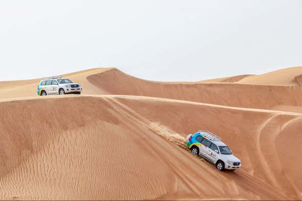 Excursión al desierto de Ajmán