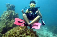 Immersione per principianti a Jumeirah