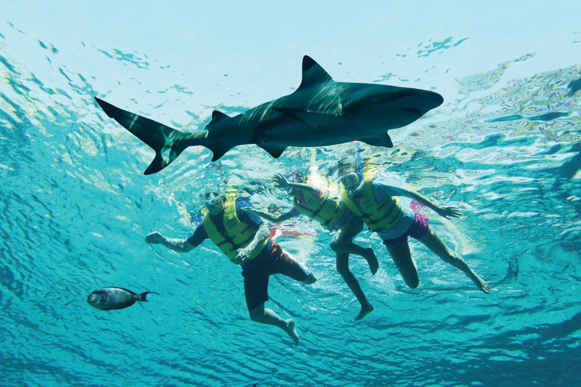 Ingresso do Aquaventure Waterpark + Snorkel com tubarões