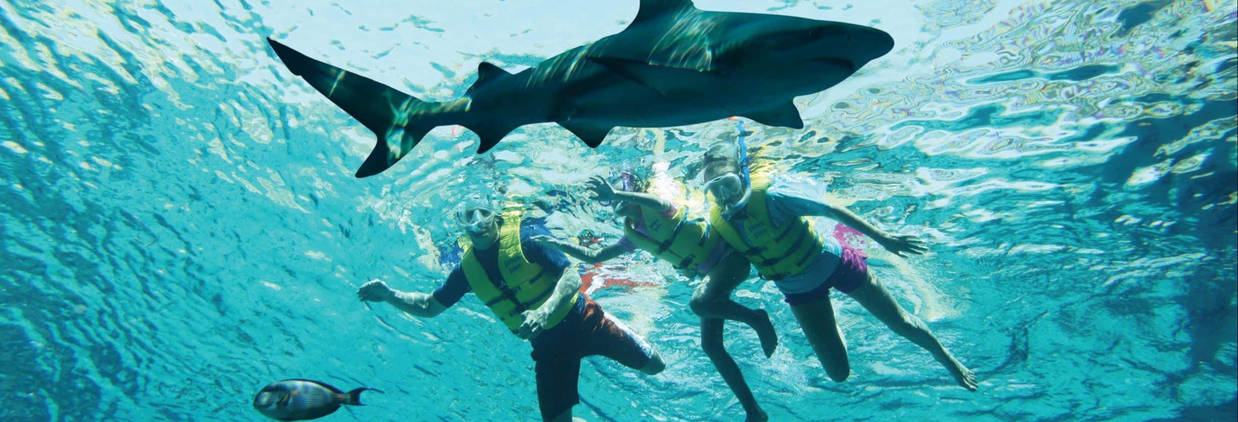 Zoo e acquari a Dubai