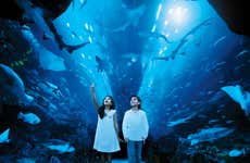Billet pour le Dubai Aquarium