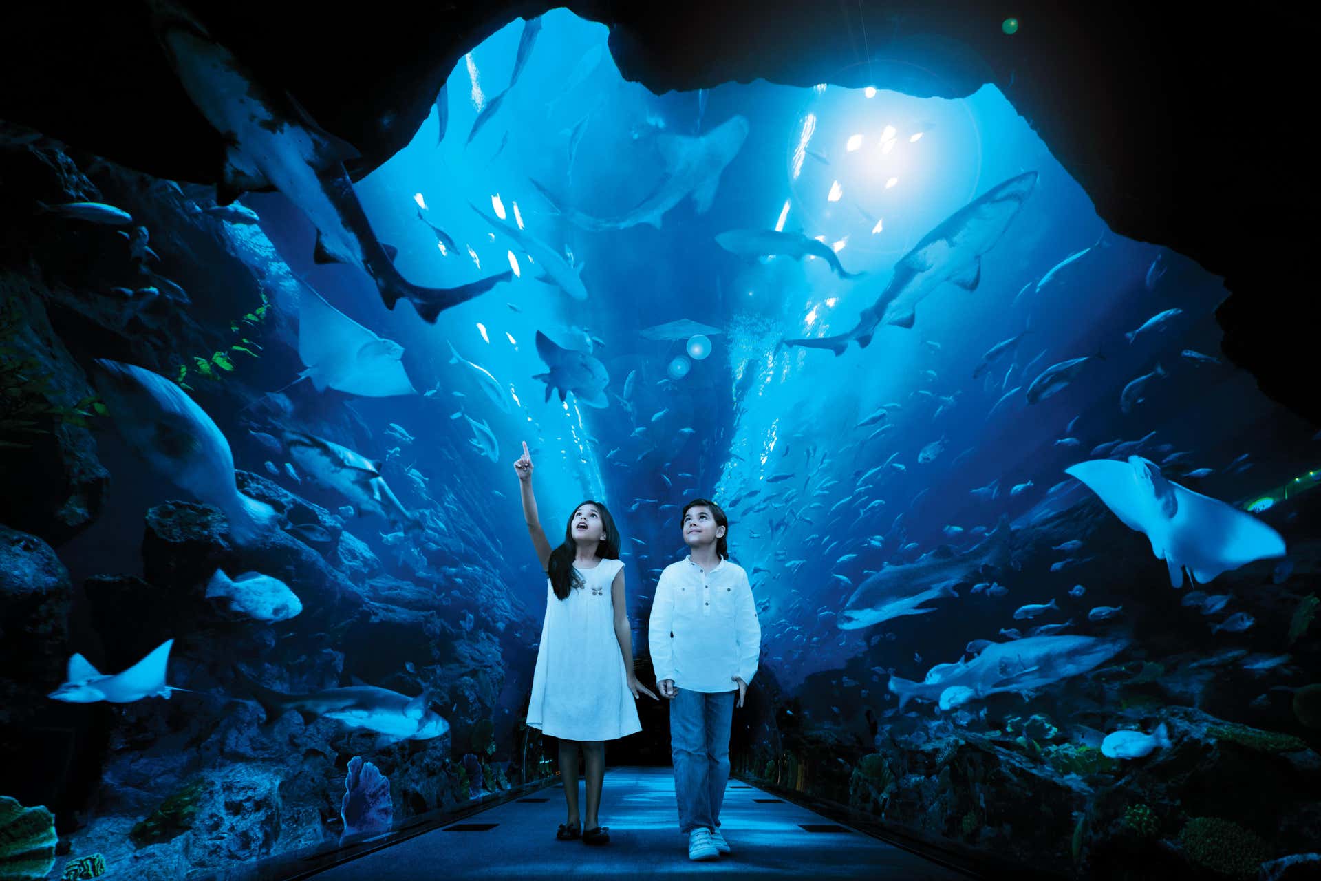 Billet pour le Dubai Aquarium