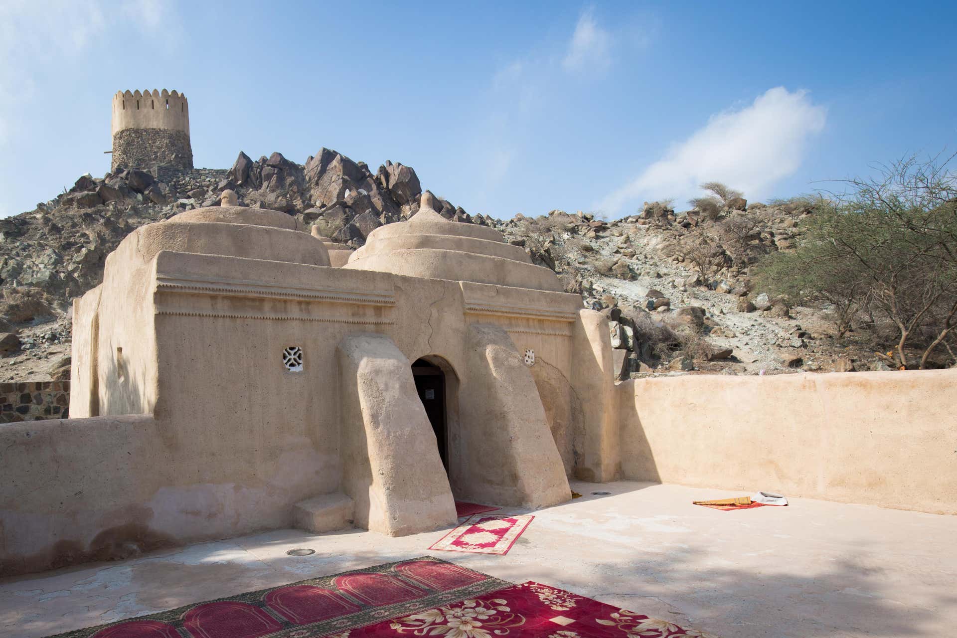 Excursión por la costa este de los Emiratos Árabes