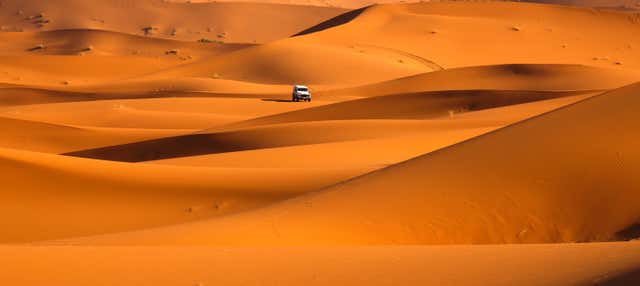 Desert Safari con cena y espectáculo