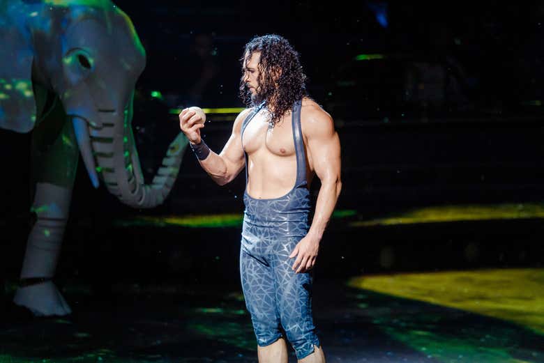 Acteur du spectacle
