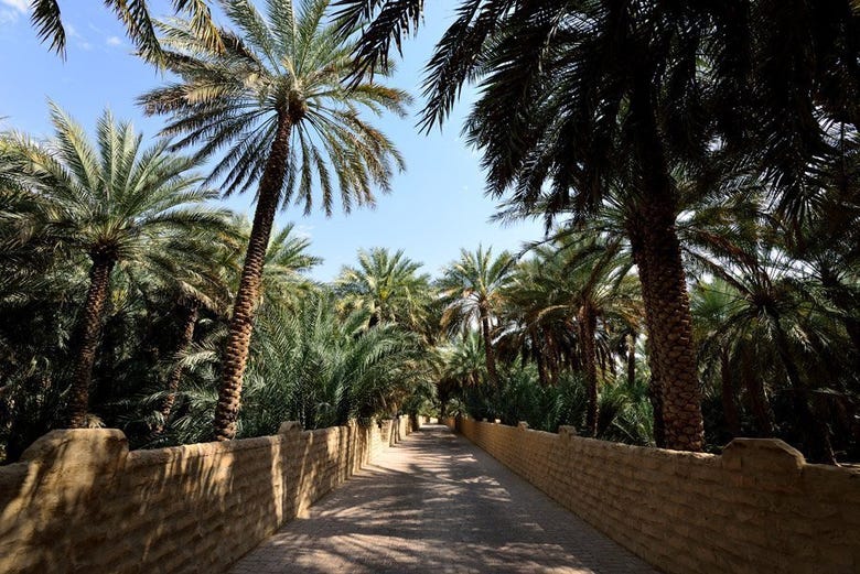 Uno de los oasis de Al Ain