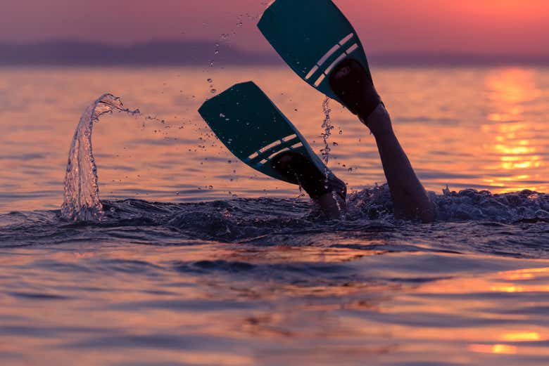 Snorkelling in the Gulf of Oman