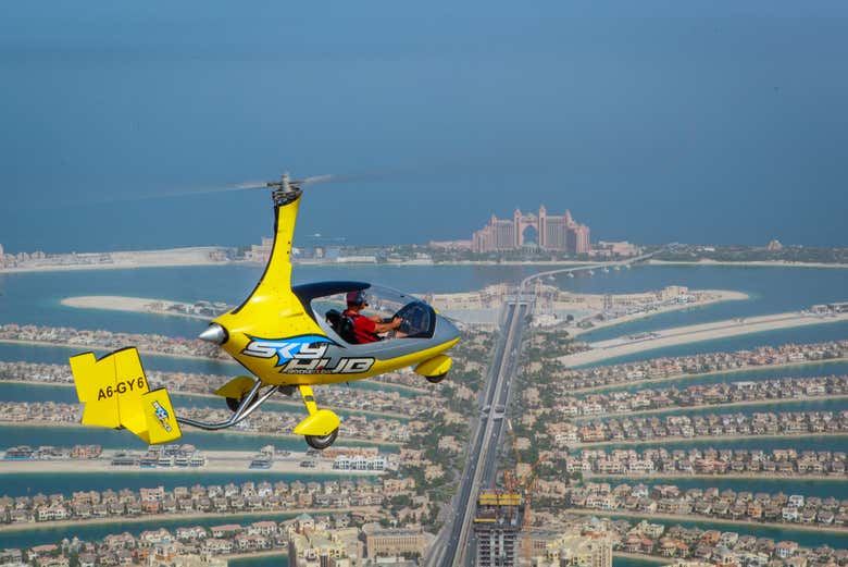 Bird's-eye view of Palm Jumeirah island