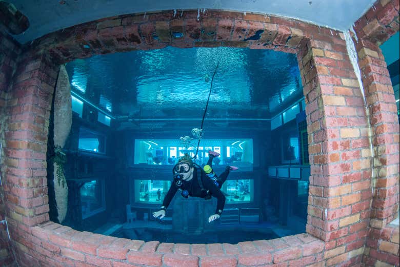 Buceador contemplando la cristalera de Deep Dive Dubai