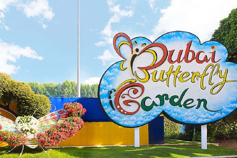 Este lugar es el hogar de más de 15 000 mariposas