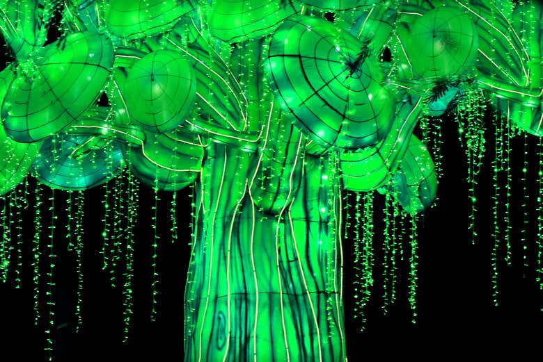 Medusas en Dubai Garden Glow
