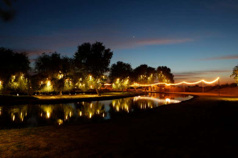 Night fall in Al Marmoom 