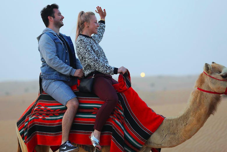 Camel tour of the desert