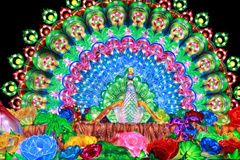 Un pavo real lleno de color