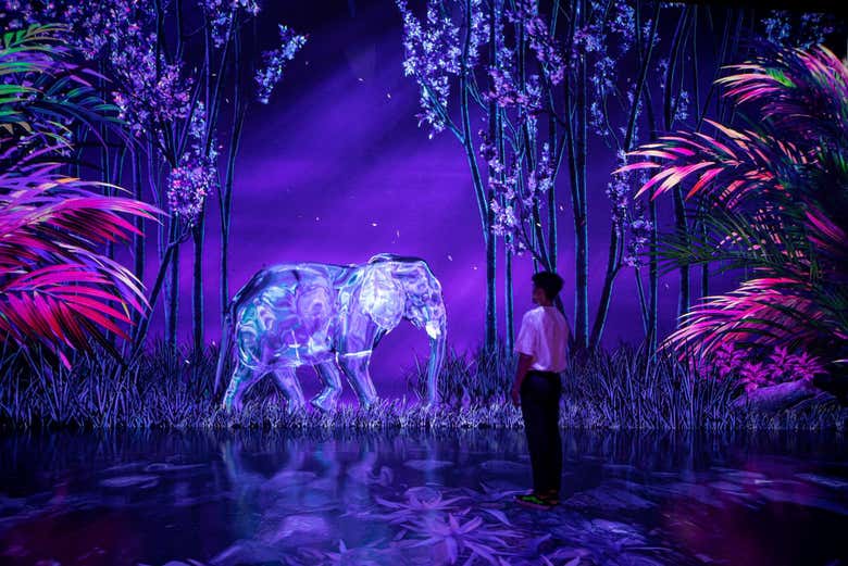 Na sala Selva do Arte Museum Dubai